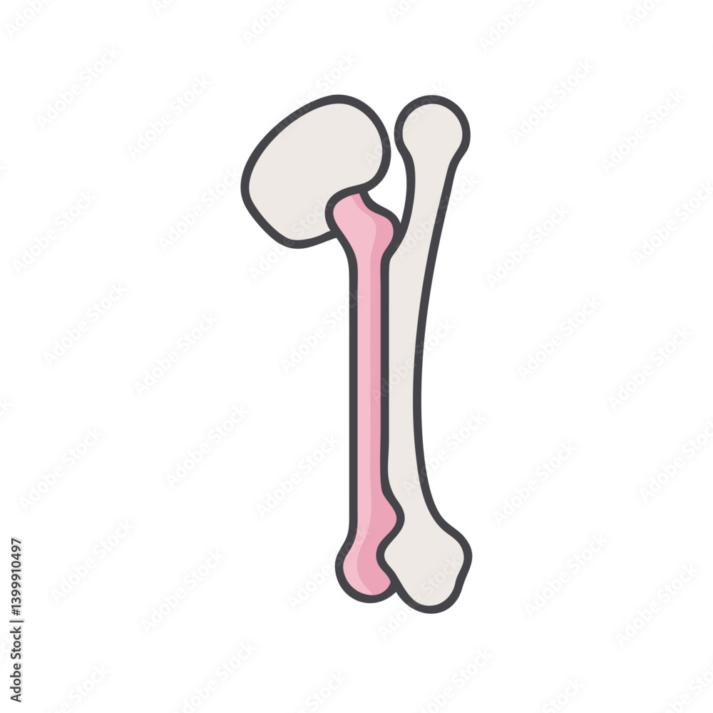 Stylish Humerus Anatomy Icon Stylish Humerus Anatomy Icon