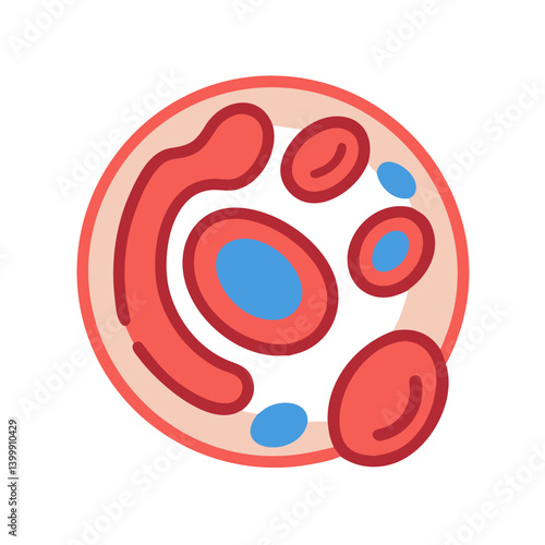  Hemoglobin Anatomy Icon Design