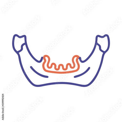  Distinct Mandible Anatomy Icon