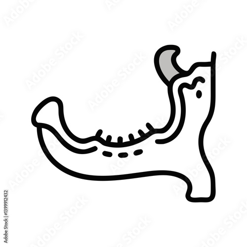  Unique Mandible Anatomy Icon