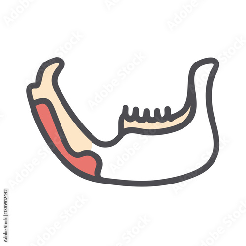  Mandible Bone Anatomy Icon