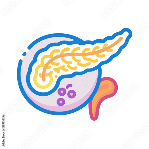  Pancreas Anatomy Icon Design