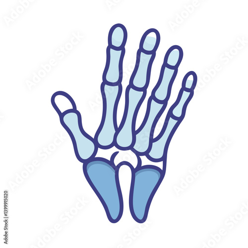  Modern Phalanges Anatomy Icon
