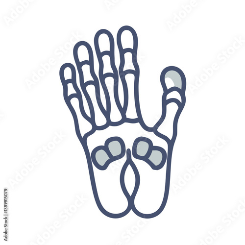  Phalanges Foot Anatomy Icon Design