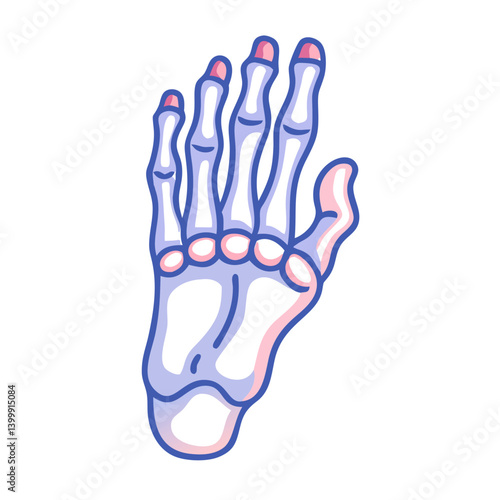  Creative Phalanges Foot Anatomy Icon