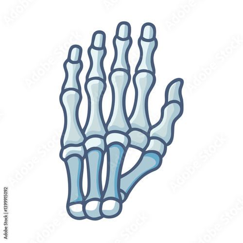  Stylish Phalanges Foot Anatomy Icon
