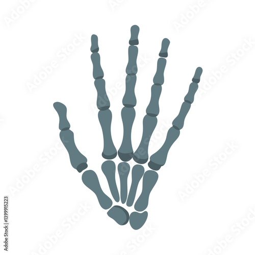  Stylish Phalanges Hand Anatomy Icon