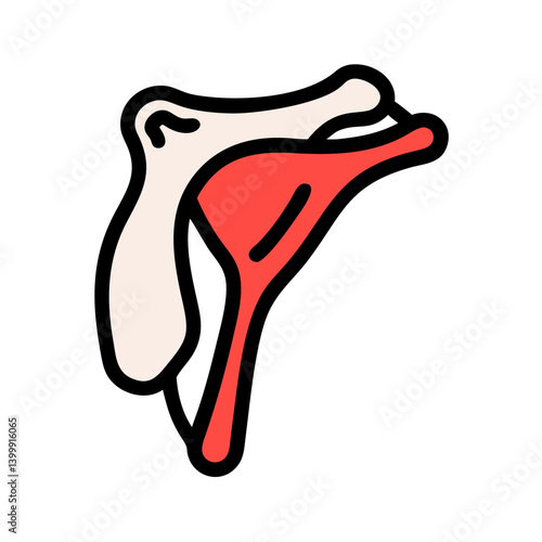  Unique Scapula Bone Anatomy Icon