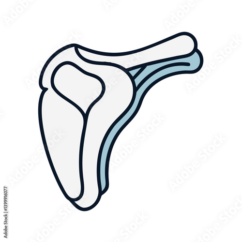  Scapula Joint Anatomy Icon
