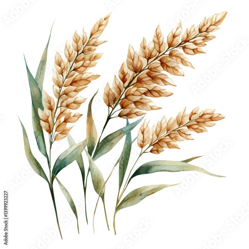 illustration of Yellow Stargrass Branch, watercolor vector, isolated on a white background.