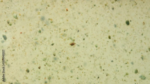 Murky Water with Floating Organisms and Plant Debris in Swamp-like Environment