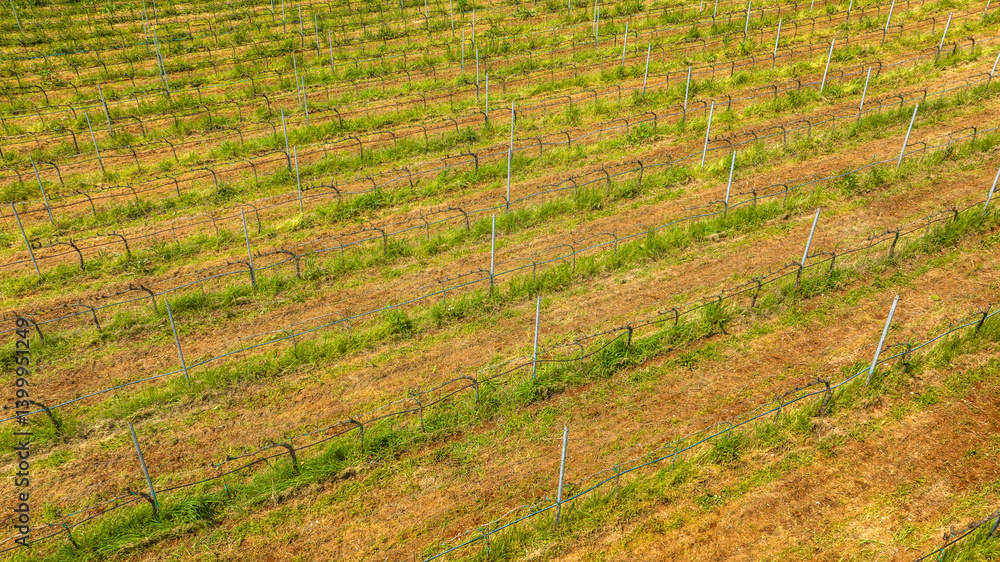 Aerial view of cultivated fields.