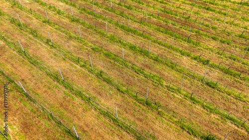 Obraz na płótnie Aerial view of cultivated fields. w salonie