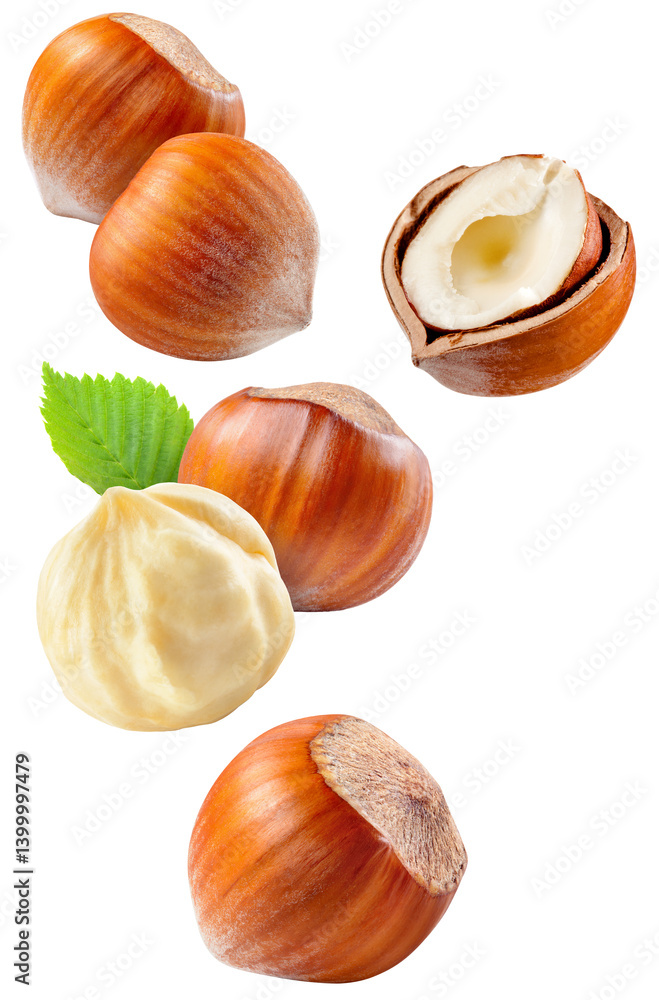 Hazelnut isolated png. Hazelnut peeled, unpeeled, broken, half and piece on transparent background. Hazelnut with leaves and kernel flying collection no background. Side view png. Full depth of field. Hazelnut isolated png. Hazelnut peeled, unpeeled, broken, half and piece on transparent background. Hazelnut with leaves and kernel flying collection no background. Side view png. Full depth of field.