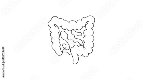 Animated outline icon. Healthcare body part collection. Intestines inner organ symbol. Black color on white background with alpha channel. Simple reveal and disappear animation.