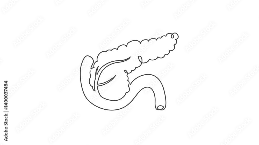 Animated outline icon. Healthcare body part collection. Pancreas ...