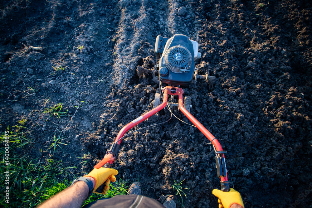 organic farming man ploughs the ground at sunset with a tiller preparing the soil for sowing