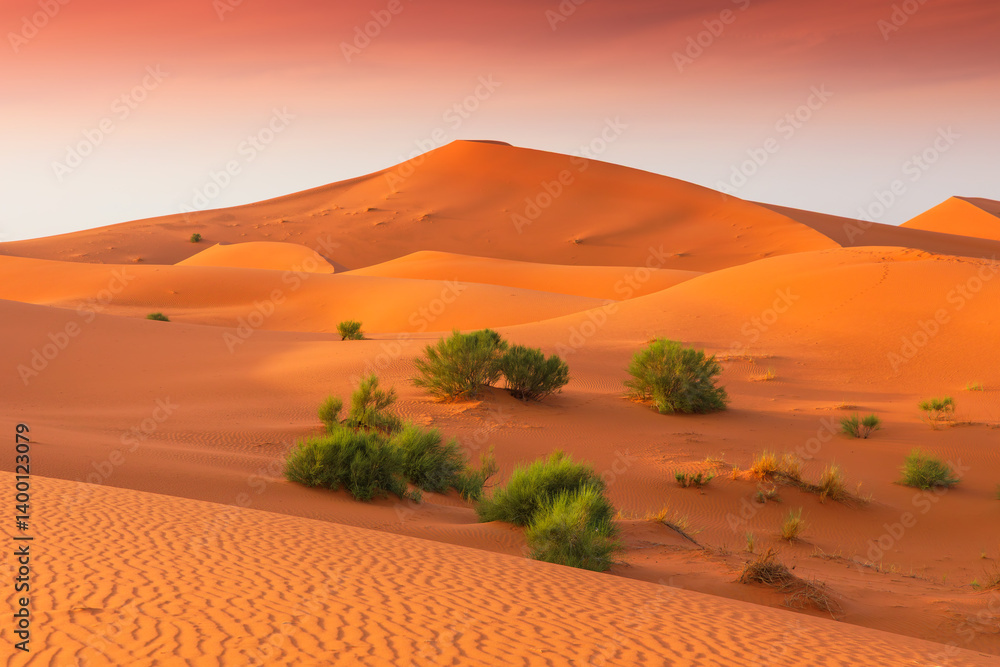 Merzouga, Morocco. Erg Chebbi sand dunes in the Sahara Desert, North Africa.