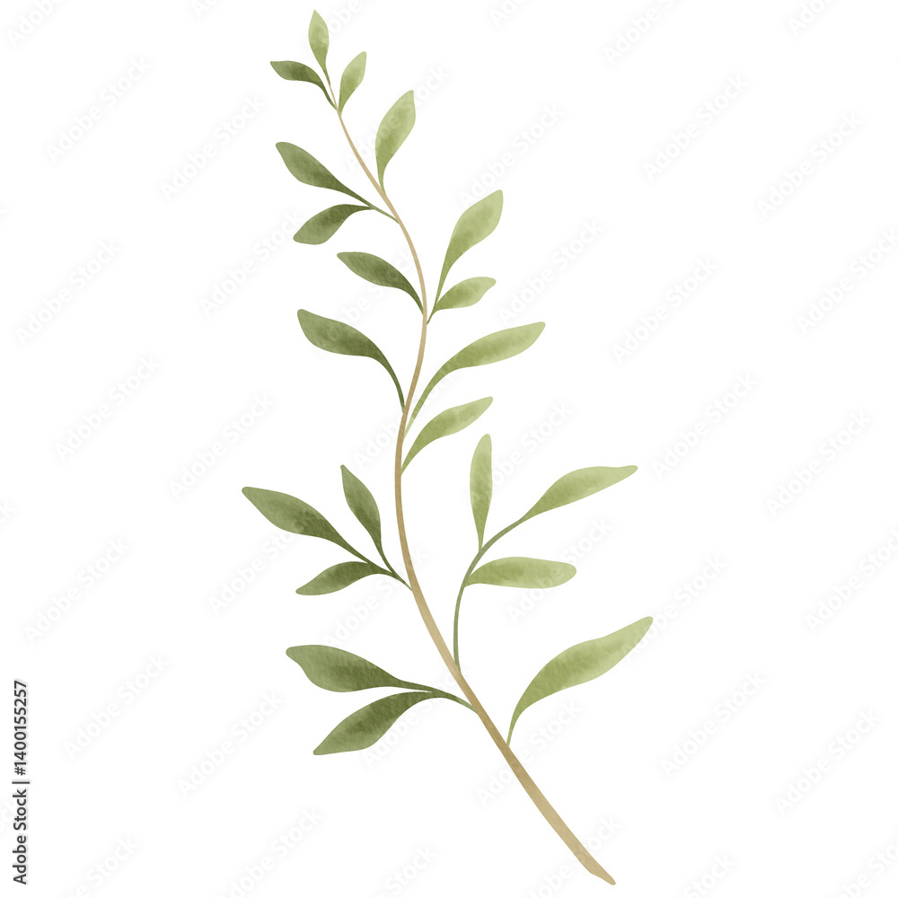 Fototapeta premium Wildflowers Leaves Invitation Plant Watercolor