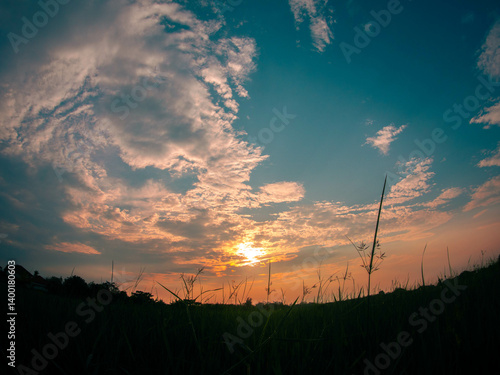 Sunset at the rice field