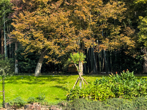 Obraz na płótnie Tranquil Autumn Serenity w salonie