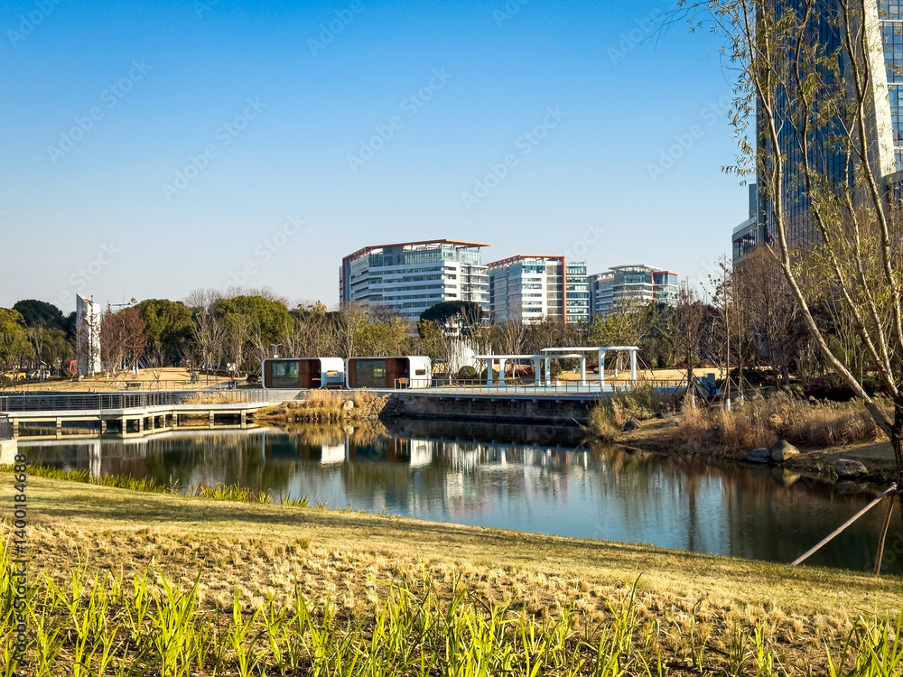 Serene Urban Oasis