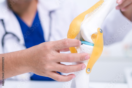 The doctor at the clinic, a skilled physician in orthopedics, provides professional care for knee joint and bone health using advanced medicine and anatomy expertise.