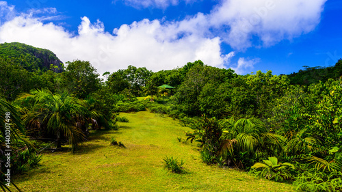 Scenic View along Mare Aux Cochons Trail in Seychelles