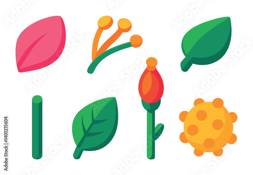 Isometric flat vector set of icons of flower parts: petal, stamen, pistil, sepal, stem, leaf, bud, pollen grain. isolated transparent background.