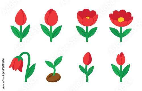 Isometric flat vector set of icons of blooming stages: flower bud, opening bloom, half bloom, full bloom, wilting flower, closed bud, sprouting seed, early bloom. . , icons isolated transparent