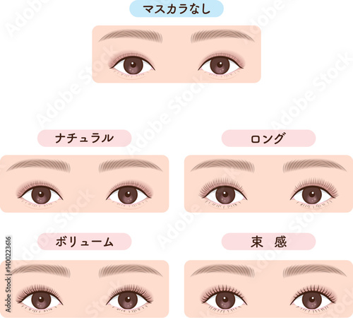 まつ毛メイクの変化比較セット　眉あり両目タイプ｜マスカラ・マツエク・マツパにも