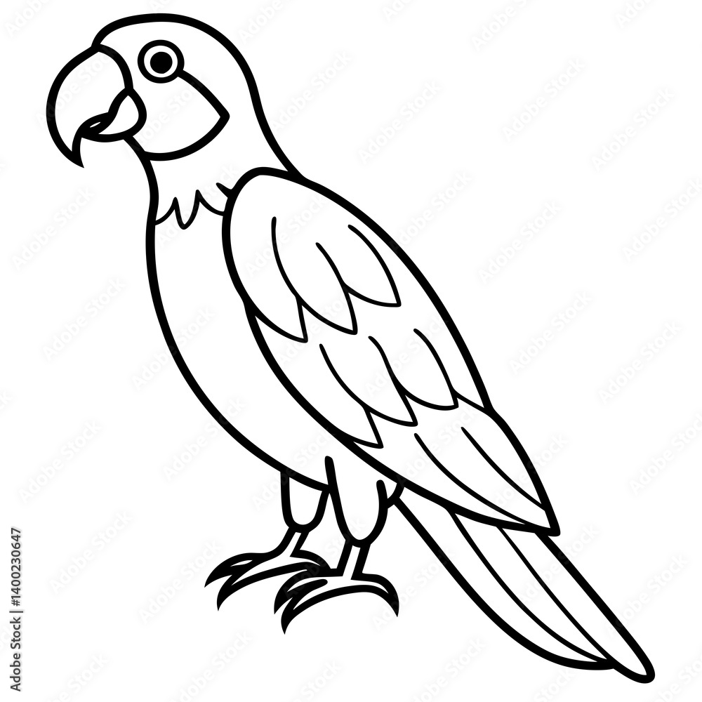 Clean Macaw Line Drawing Vector Clean Macaw Line Drawing Vector