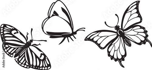 "Butterfly Silhouette Vector Set | Elegant Black Insect Clipart | Transparent PNG Butterfly Illustrations"