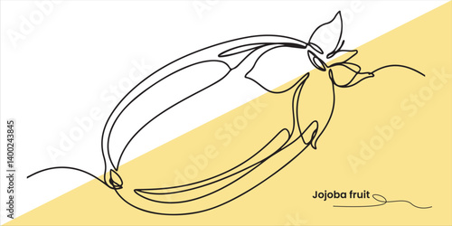 Jojoba fruit The jojoba fruit, known for its unique qualities, is a key source of jojoba oil, widely used in skincare and cosmetic products for its nourishing properties.

