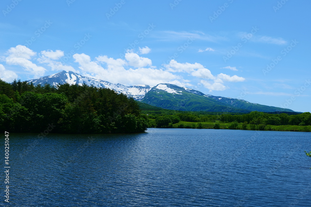 初夏の冬師湿原より鳥海山を臨む。にかほ、秋田、日本。5月下旬。 初夏の冬師湿原より鳥海山を臨む。にかほ、秋田、日本。5月下旬。