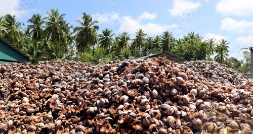 Cuadro en lienzo Coco shell stock, coco peat