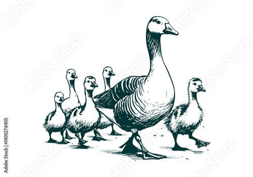 Goose hand drawn sketch illustration vector