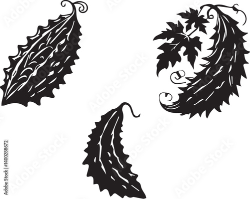 "Black Vector Illustration of Bitter Gourd"