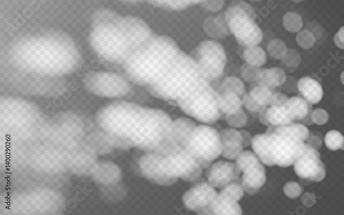 Abstract shadow overlay from foliage on a transparent background.