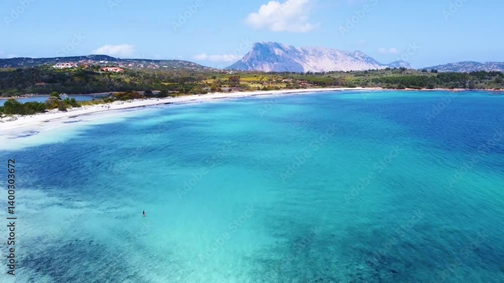 Aerial view of shades of turquoise in Cala Brandinchi beach. Sardinia, Italy Aerial view of shades of turquoise in Cala Brandinchi beach. Sardinia, Italy