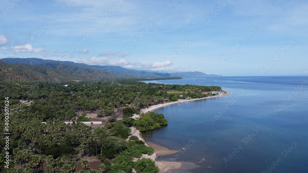 Fototapeta premium Aerial view of coastal landscape with mangroves and ocean in Dili, Timor-Leste, Southeast Asia