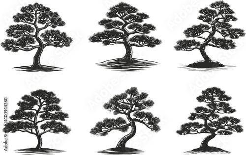 Bonsai trees vector illustration set