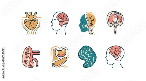 Vibrant Anatomy Icons for Health Awareness