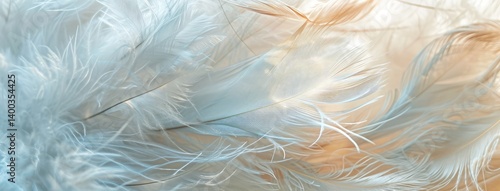Obraz na płótnie Ethereal Feather Elegance w salonie