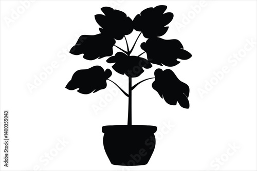 fiddle leaf fig tree silhouette vector