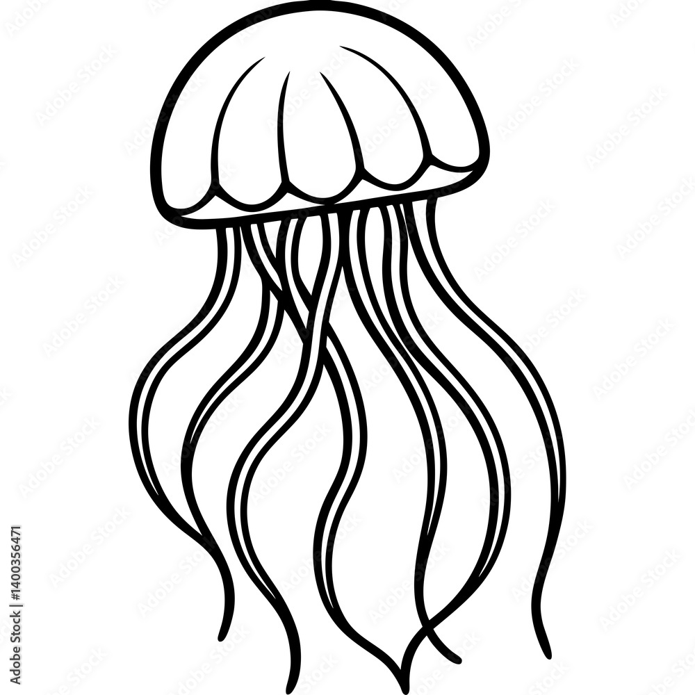 Graceful Jellyfish Line Drawing Graceful Jellyfish Line Drawing