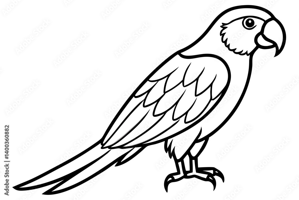 Graceful Macaw Silhouette Graceful Macaw Silhouette