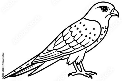 Kestrel Abstract Linework