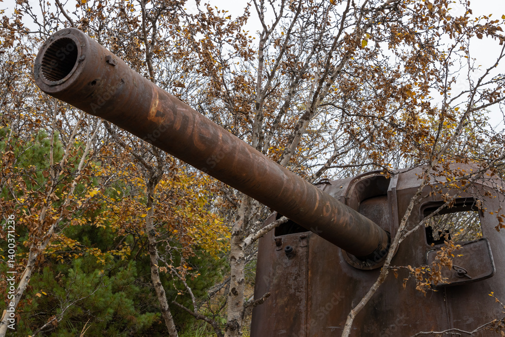 Old abandoned artillery gun in the forest. Rusty broken cannon. On the barrel is the text in Russian