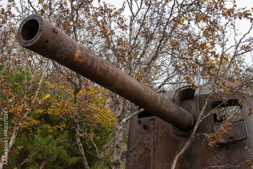 Obraz na płótnie Old abandoned artillery gun in the forest. Rusty broken cannon. On the barrel is the text in Russian